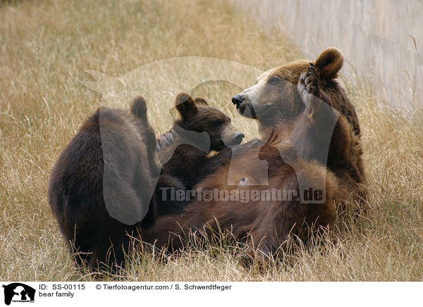 Braunbr Familie / bear family / SS-00115