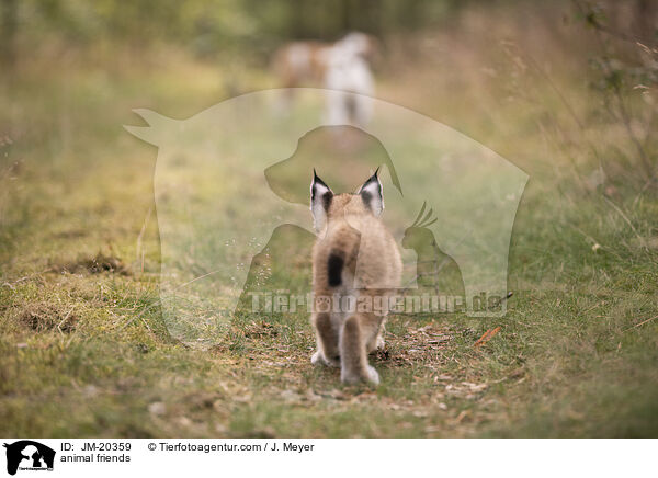 animal friends / JM-20359