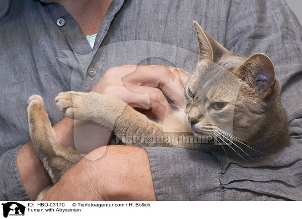 human with Abyssinian / HBO-03170