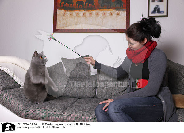 Frau spielt mit Britisch Kurzhaar / woman plays with British Shorthair / RR-46926