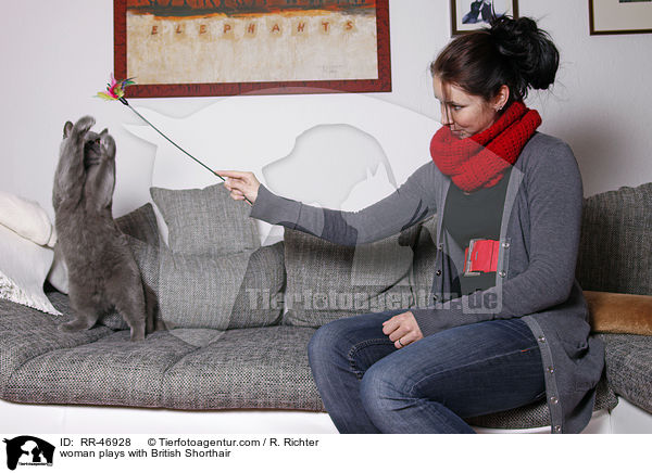 Frau spielt mit Britisch Kurzhaar / woman plays with British Shorthair / RR-46928