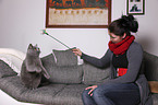 woman plays with British Shorthair
