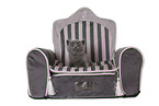 British Shorthait Kitten