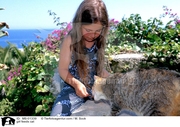 Mdchen fttert Katze / girl feeds cat / MS-01339