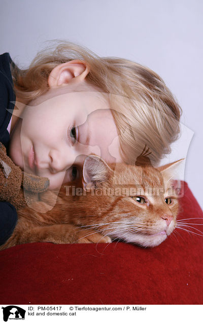 kid and domestic cat / PM-05417