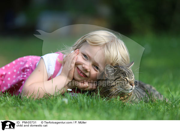 child and domestic cat / PM-05731