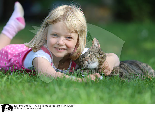 child and domestic cat / PM-05732