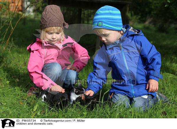 children and domestic cats / PM-05734