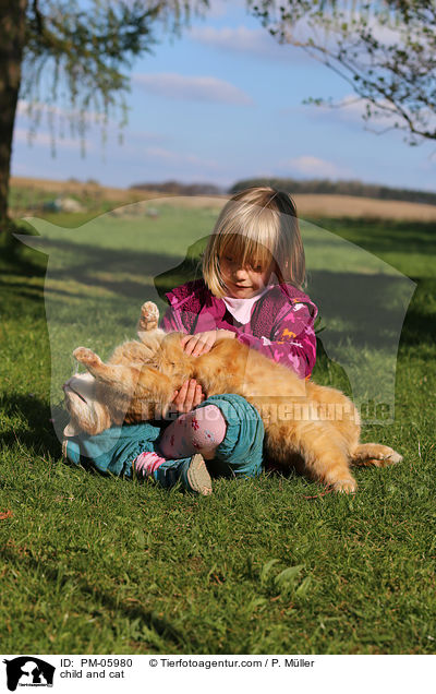 child and cat / PM-05980