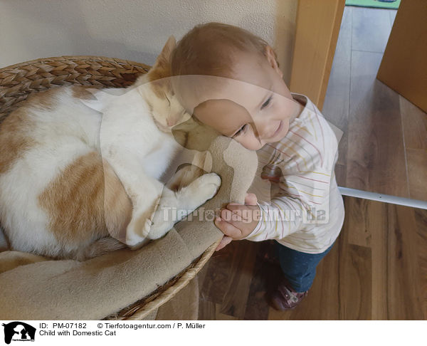 Child with Domestic Cat / PM-07182