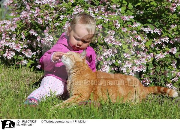 kid with cat / PM-07527