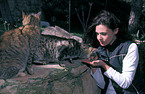 woman feeds cats