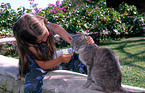 girl feeds cat