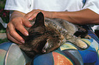 woman with cat