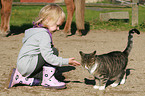 kid and domestic cat