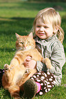 kid and domestic cat