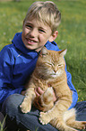 boy with Domestic Cat