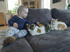 Child with Domestic Cat