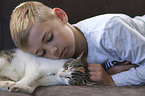 boy with Domestic Cat
