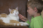 boy with Domestic Cat