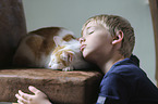 boy with Domestic Cat