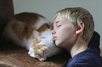 boy with Domestic Cat
