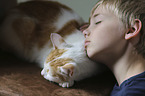 boy with Domestic Cat