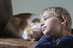 boy with Domestic Cat