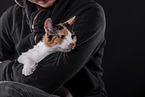 Cat in front of black background