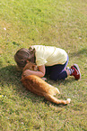 domestic cat