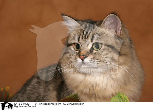Highlander Portrait / Highlander Portrait / SS-07201