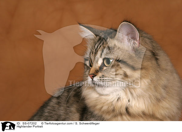 Highlander Portrait / Highlander Portrait / SS-07202
