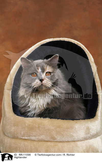 Highlander / Highlander / RR-11096