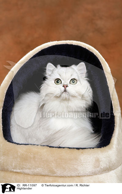 Highlander / Highlander / RR-11097