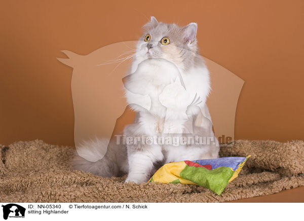 sitting Highlander / NN-05340
