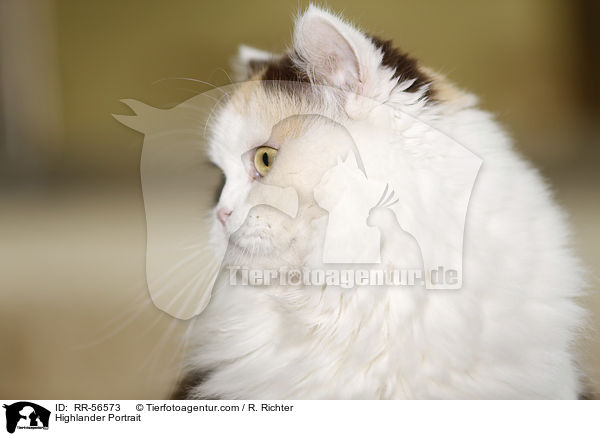 Highlander Portrait / RR-56573
