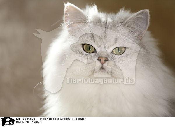 Highlander Portrait / Highlander Portrait / RR-56591