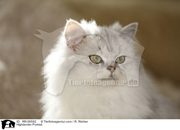 Highlander Portrait / Highlander Portrait / RR-56592