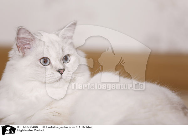 Highlander Portrait / RR-58466