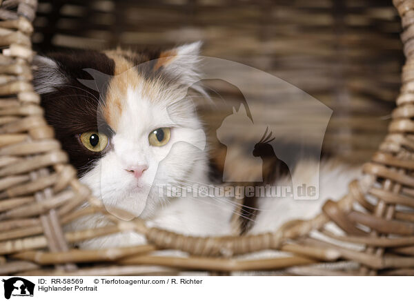 Highlander Portrait / RR-58569