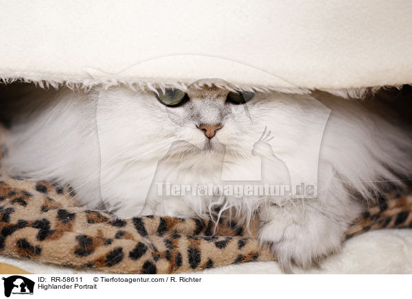 Highlander Portrait / RR-58611