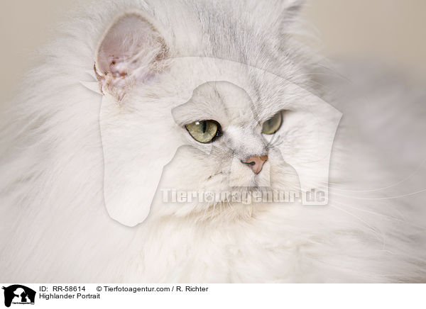 Highlander Portrait / RR-58614