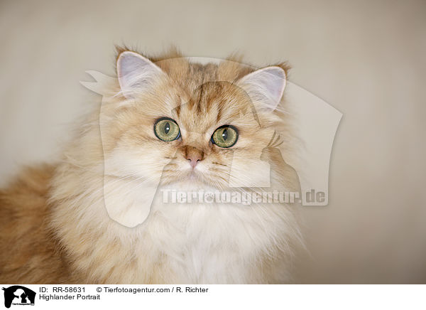 Highlander Portrait / RR-58631