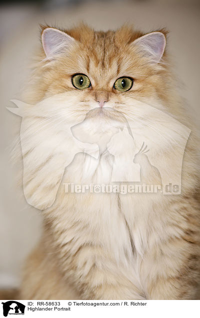 Highlander Portrait / RR-58633