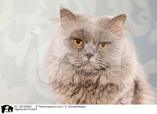 Highlander Portrait / SS-36855