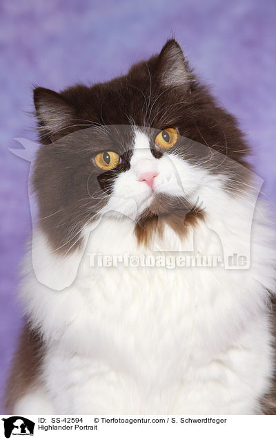 Highlander Portrait / SS-42594