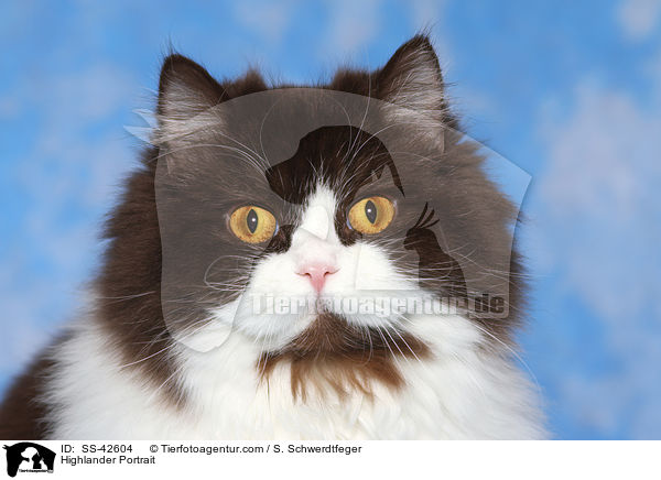 Highlander Portrait / Highlander Portrait / SS-42604