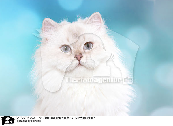 Highlander Portrait / Highlander Portrait / SS-44393