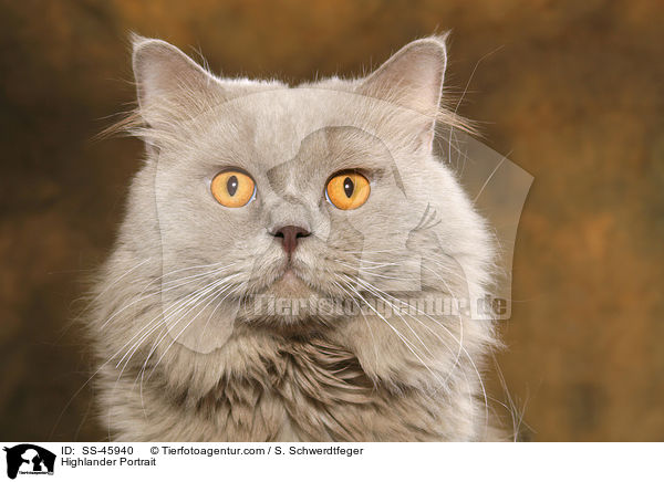 Highlander Portrait / SS-45940