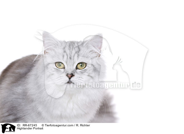 Highlander Portrait / RR-87245